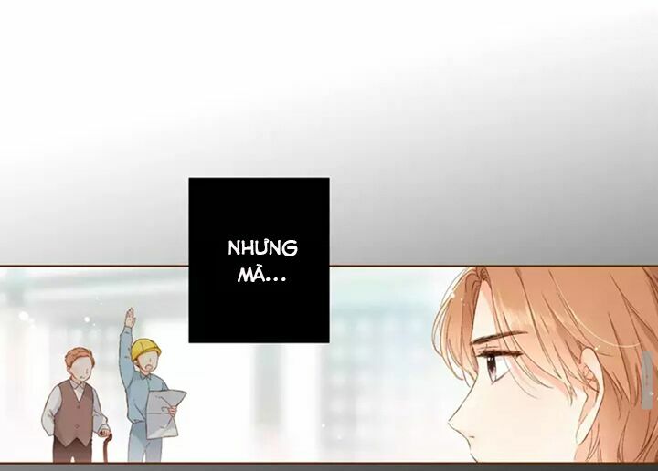 Tình yêu là màu hoa anh thảo: Chapter 31.2