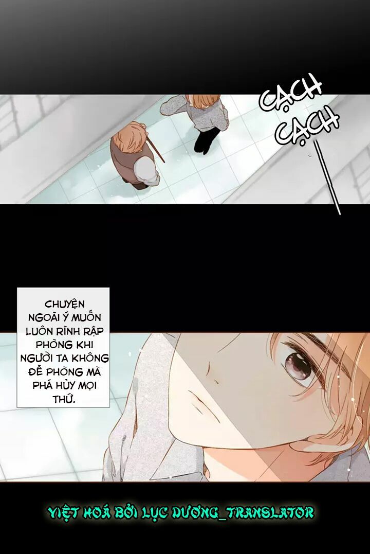 Tình yêu là màu hoa anh thảo: Chapter 31.2