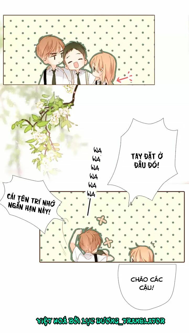 Tình yêu là màu hoa anh thảo: Chapter 32.1