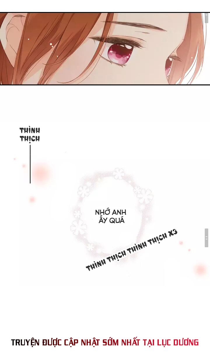 Tình yêu là màu hoa anh thảo: Chapter 33.1