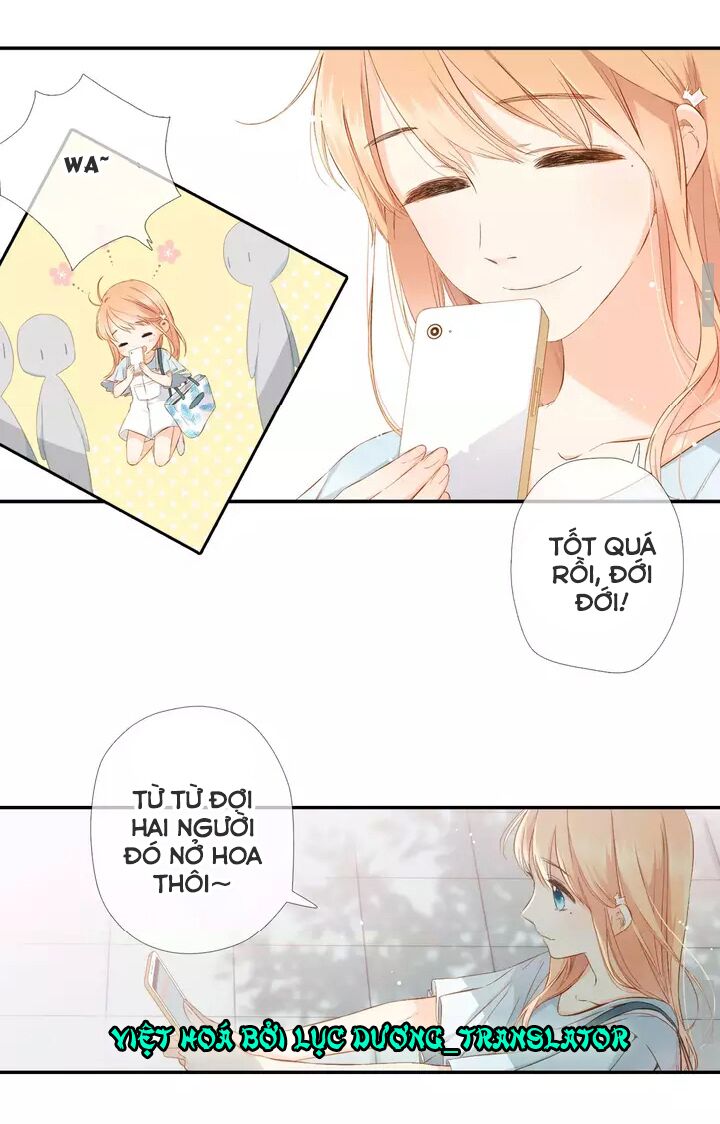 Tình yêu là màu hoa anh thảo: Chapter 33.1