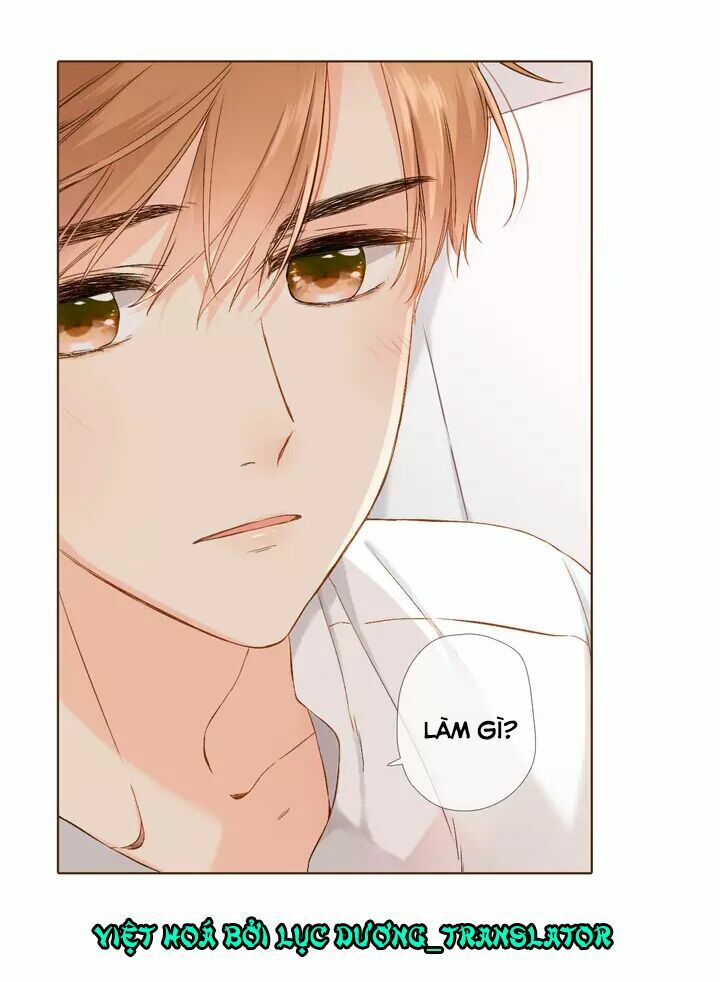 Tình yêu là màu hoa anh thảo: Chapter 34.2