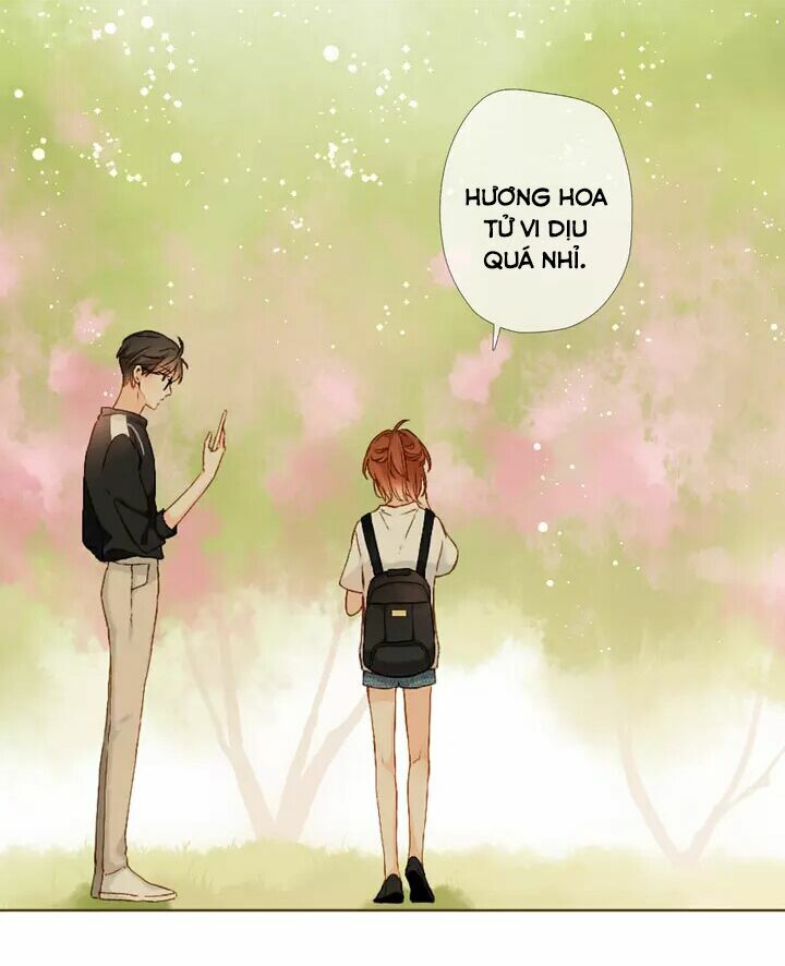 Tình yêu là màu hoa anh thảo: Chapter 34.2