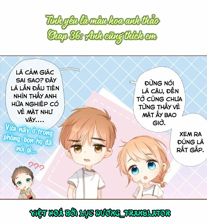 Tình yêu là màu hoa anh thảo: Chapter 36.1
