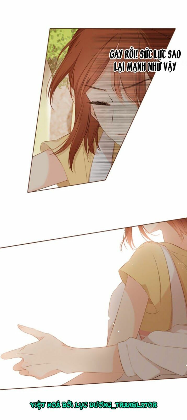 Tình yêu là màu hoa anh thảo: Chapter 36.1