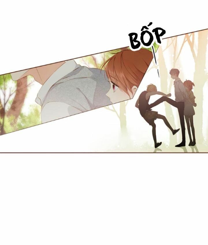 Tình yêu là màu hoa anh thảo: Chapter 36.1