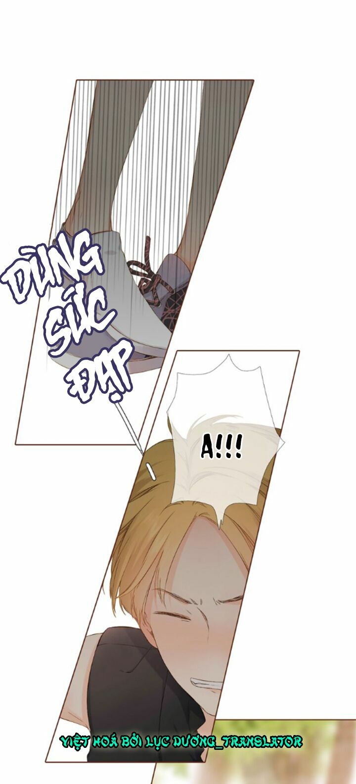 Tình yêu là màu hoa anh thảo: Chapter 36.1