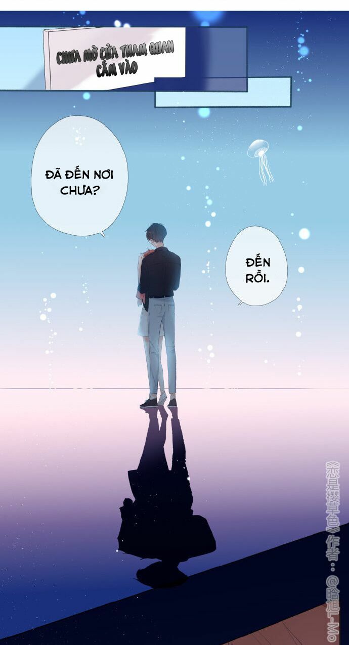 Tình yêu là màu hoa anh thảo: Chapter 37.3