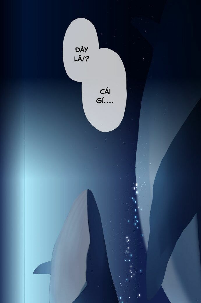 Tình yêu là màu hoa anh thảo: Chapter 37.3