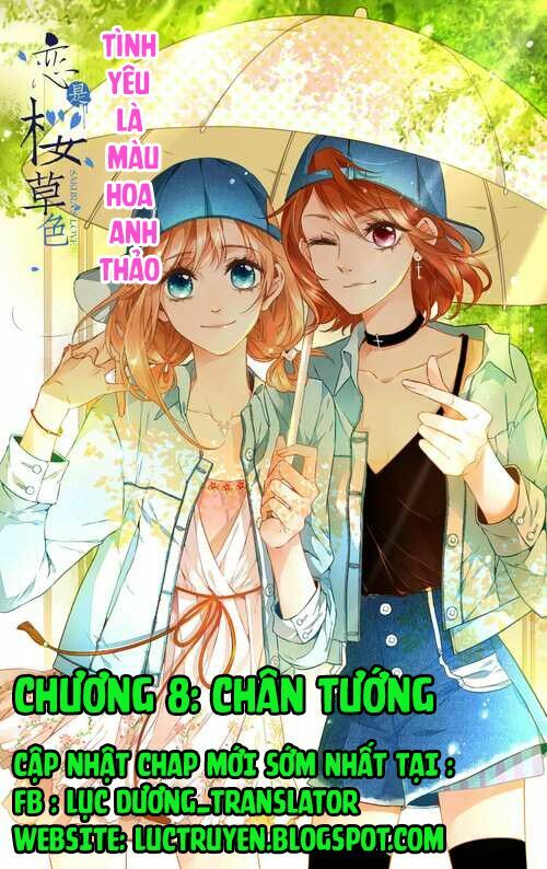 Tình yêu là màu hoa anh thảo: Chapter 8