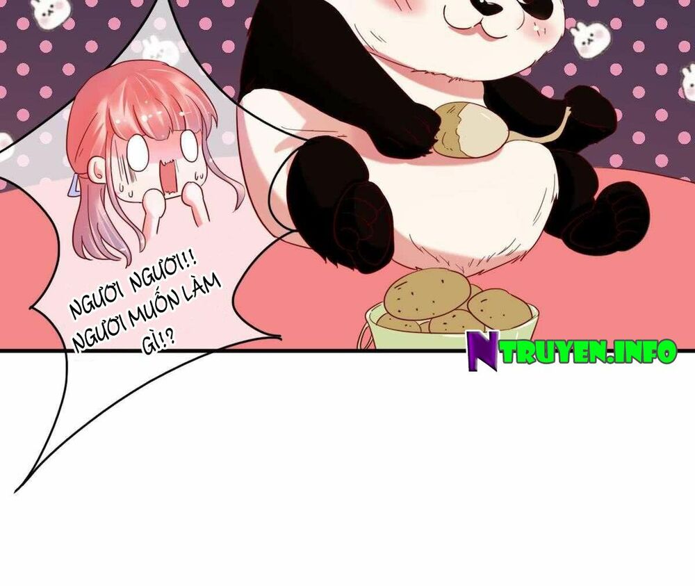 Manh thê khó dỗ: Chapter 0