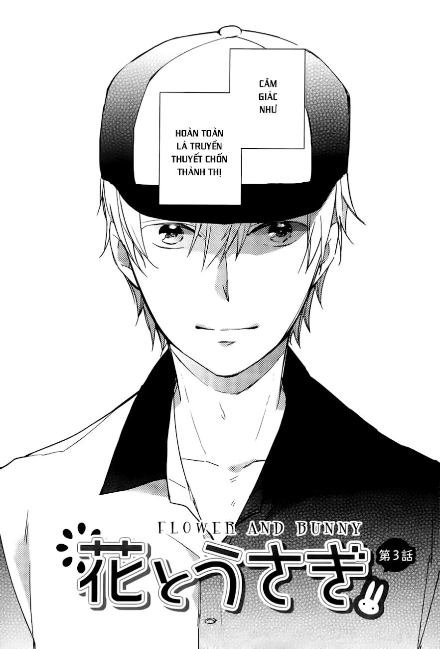 Flower & Bunny: Chapter 3