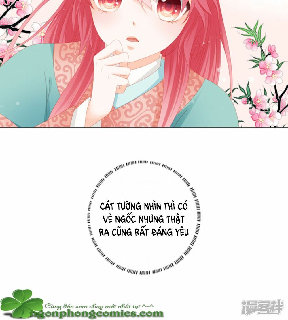 Cát Tường, A Ba Đối Với Con Rất Thất Vọng: Chapter 19