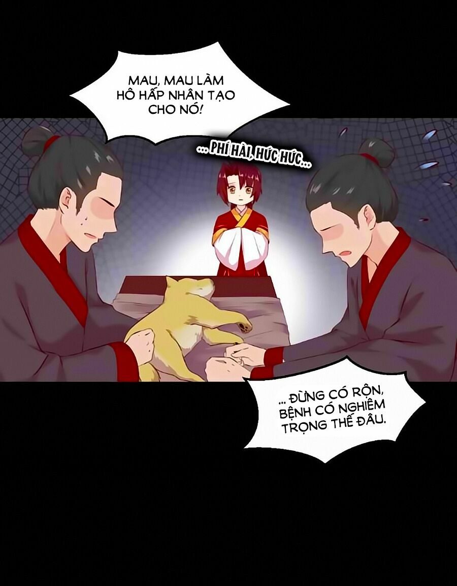 Thịnh Thế Đế Vương Phi: Chapter 38