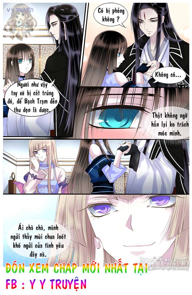 Nguyệt Thương: Chapter 41