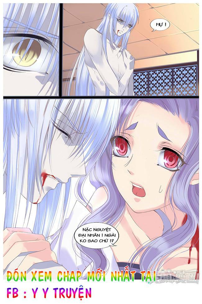 Nguyệt Thương: Chapter 44