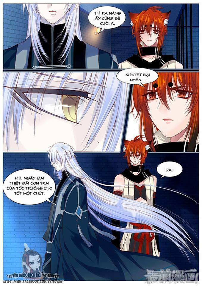 Nguyệt Thương: Chapter 50