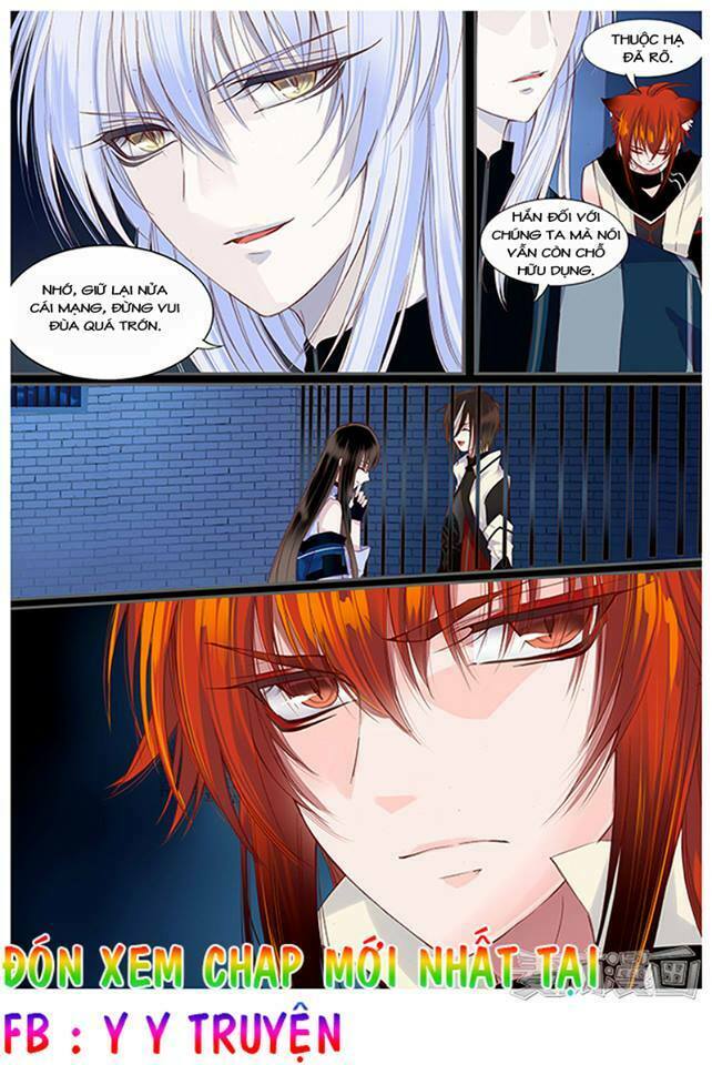Nguyệt Thương: Chapter 50