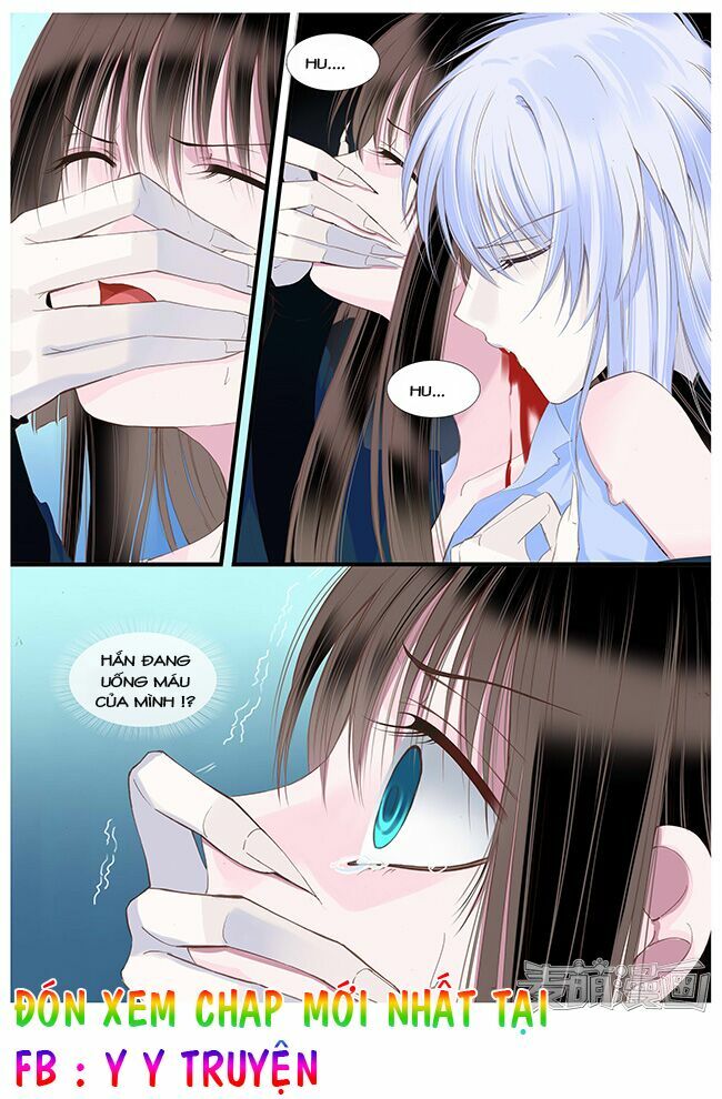Nguyệt Thương: Chapter 53