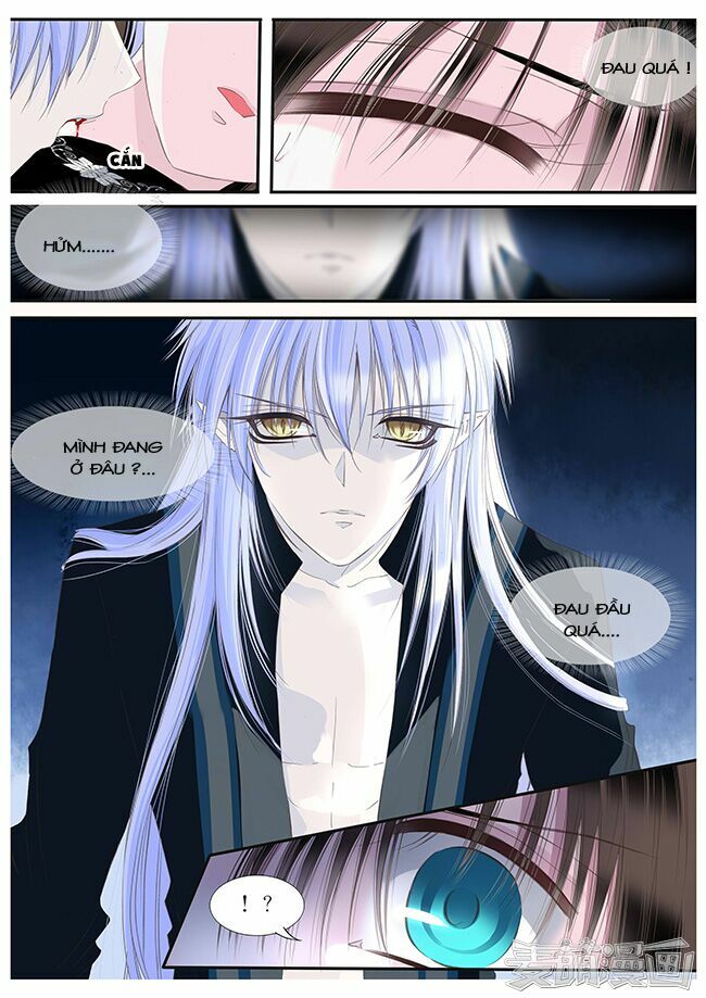 Nguyệt Thương: Chapter 71