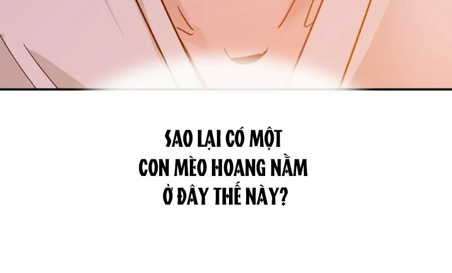 Hoàng Thượng! Hãy Sủng Ái Ta Đi!: Chapter 5