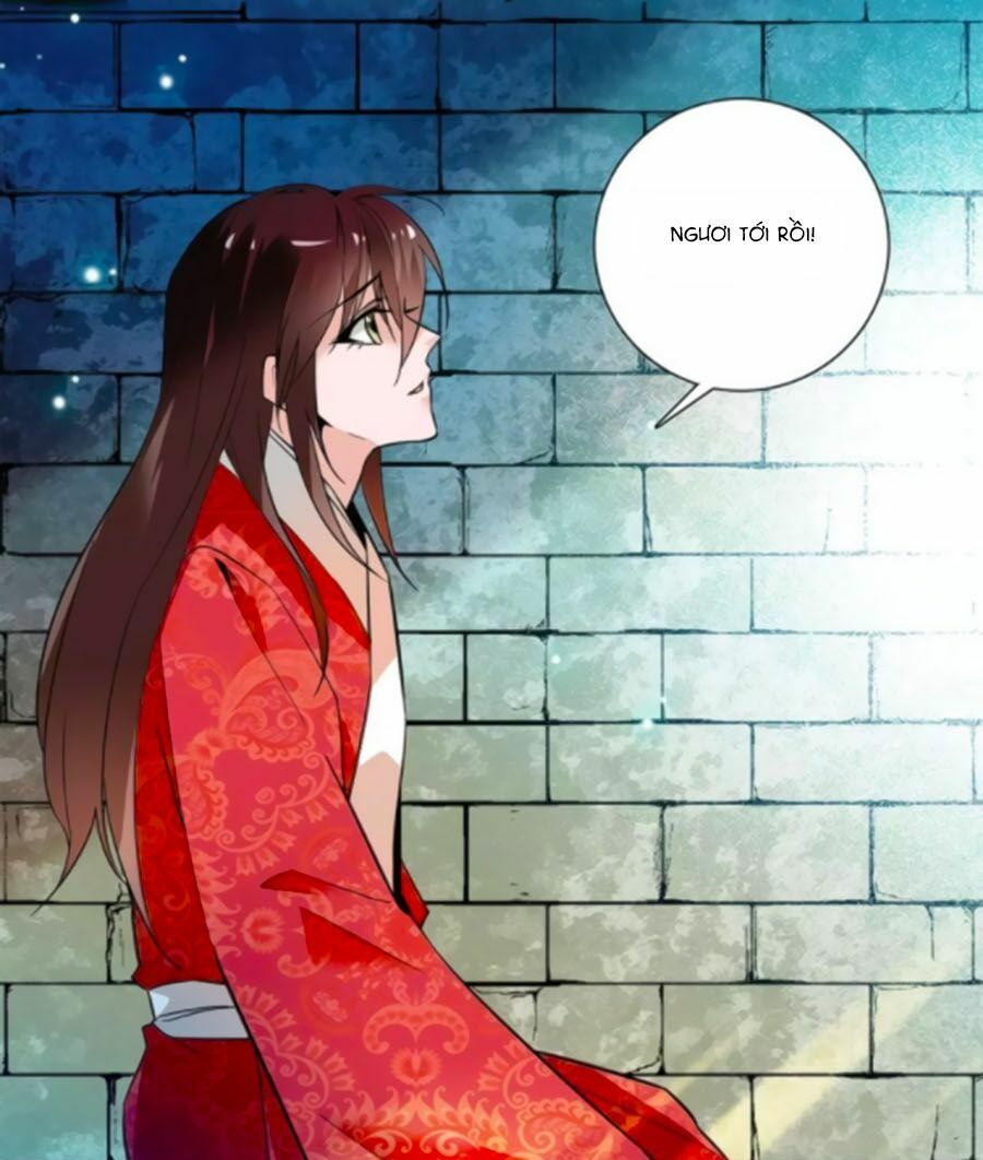 Hoàng Thượng! Hãy Sủng Ái Ta Đi!: Chapter 72