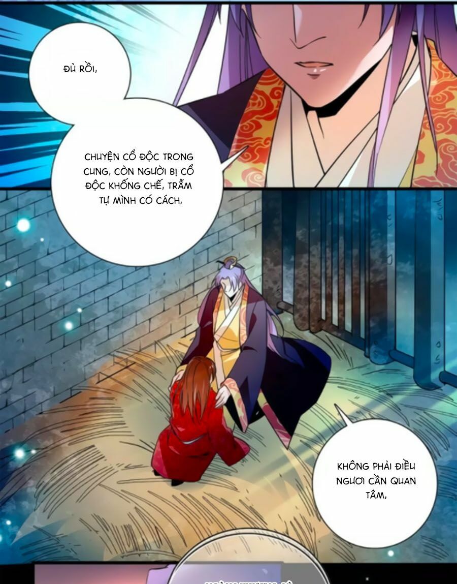 Hoàng Thượng! Hãy Sủng Ái Ta Đi!: Chapter 72