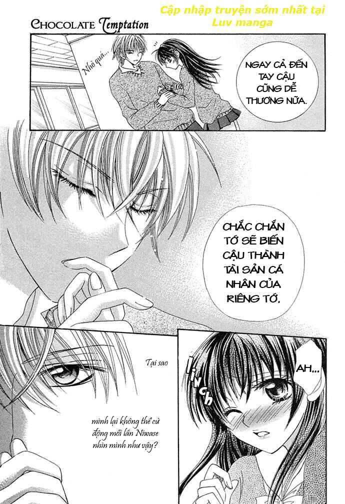Chocolate temptation: Chapter 1: One shot