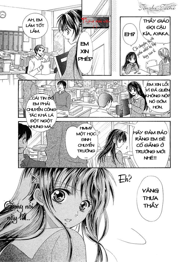 Chocolate temptation: Chapter 1: One shot