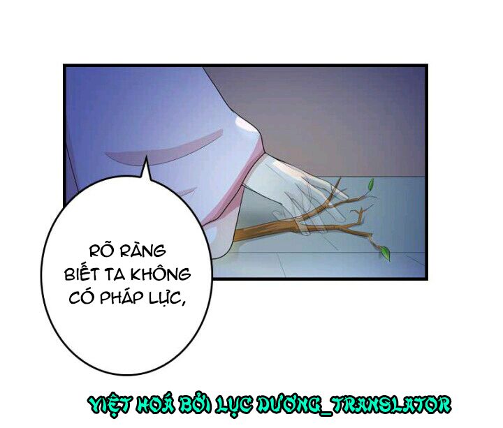 Mấy Bà Vợ Của Trẫm Đều Chết Hết Rồi: Chapter 11