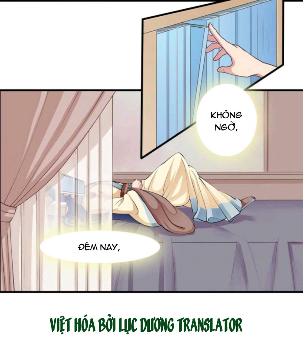 Mấy Bà Vợ Của Trẫm Đều Chết Hết Rồi: Chapter 5