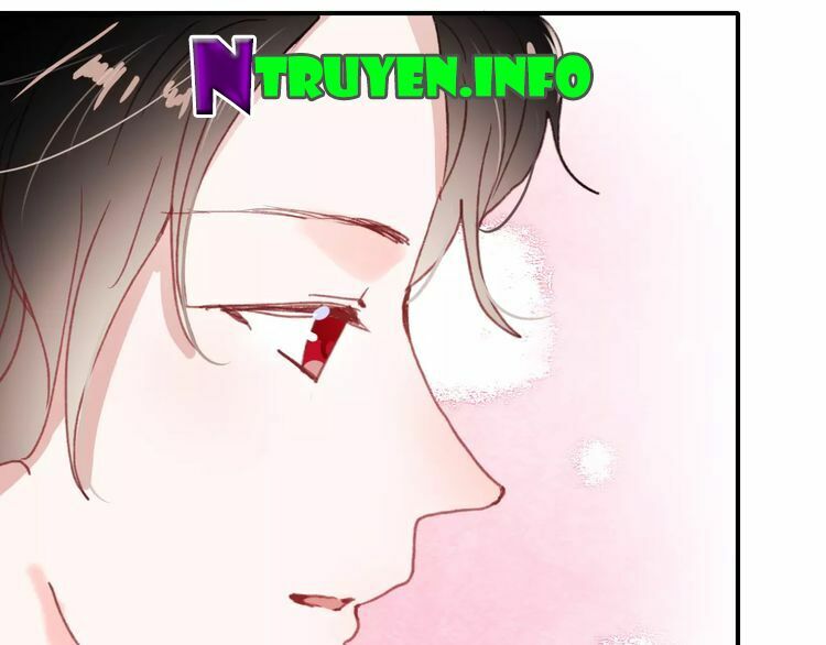 Hướng Tới Ánh Mặt Trời: Chapter 87: - End