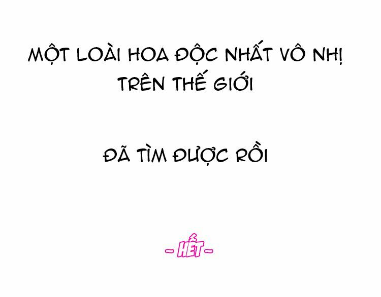 Hướng Tới Ánh Mặt Trời: Chapter 87: - End