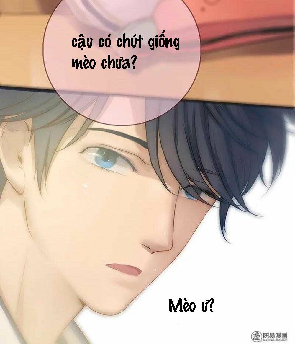 Một Tiếng "Gâu" Để Nói Lời Yêu!: Chapter 7