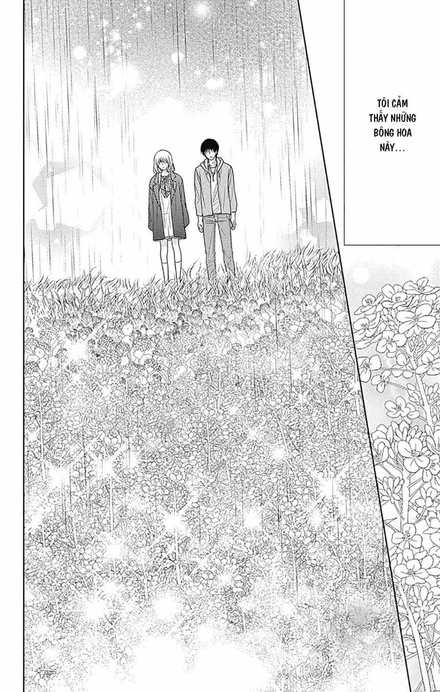 Nanoka no Kare: Chapter 77