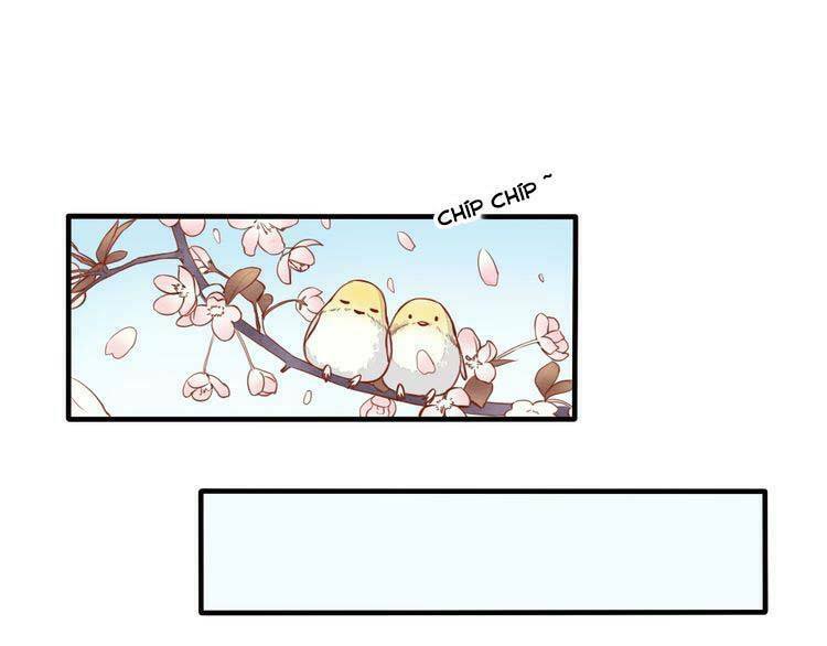 Nụ Hôn Hắc Vũ: Chapter 10