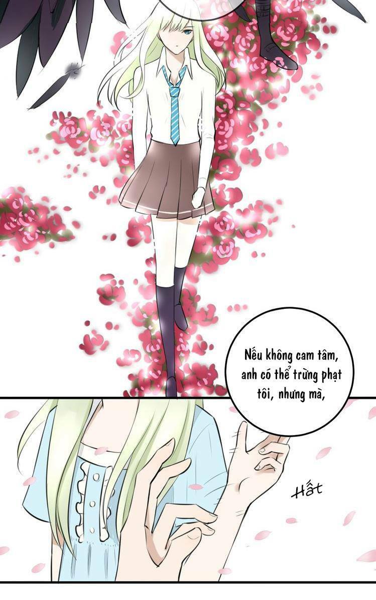 Nụ Hôn Hắc Vũ: Chapter 11