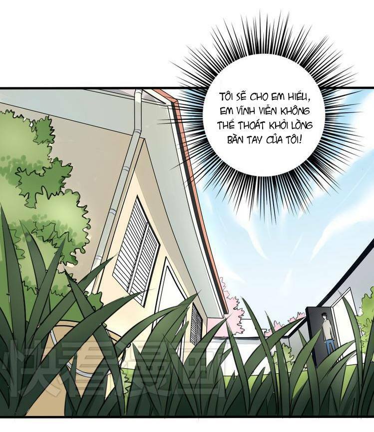 Nụ Hôn Hắc Vũ: Chapter 11