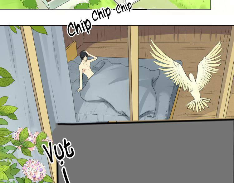 Nụ Hôn Hắc Vũ: Chapter 2