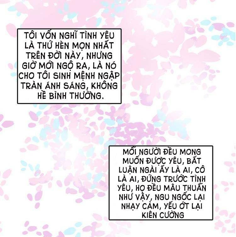 Nụ Hôn Hắc Vũ: Chapter 23