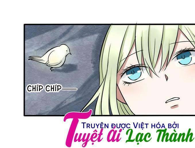 Nụ Hôn Hắc Vũ: Chapter 26