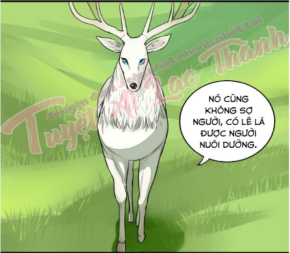 Nụ Hôn Hắc Vũ: Chapter 28