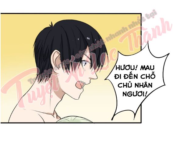 Nụ Hôn Hắc Vũ: Chapter 28