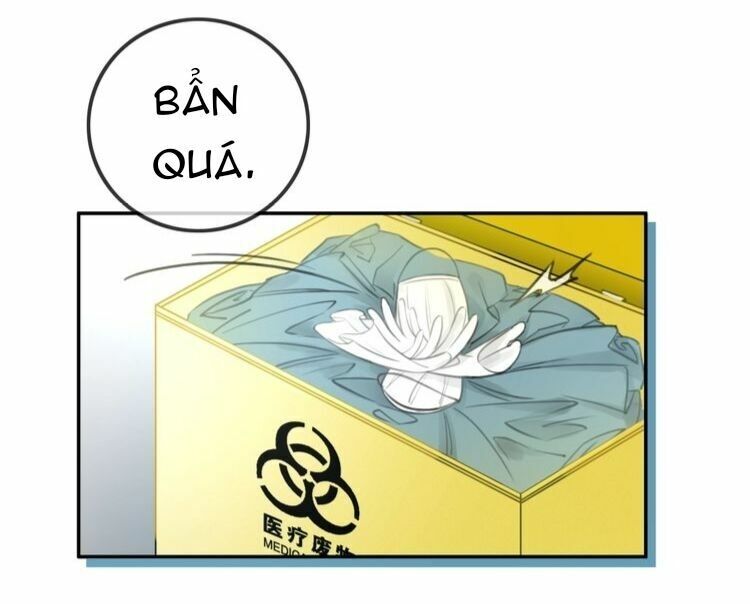 Ám Hắc Hệ Noãn Hôn: Chapter 1
