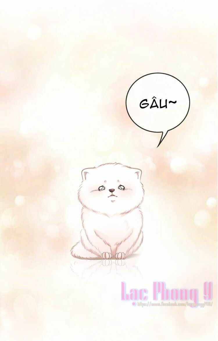 Ám Hắc Hệ Noãn Hôn: Chapter 3