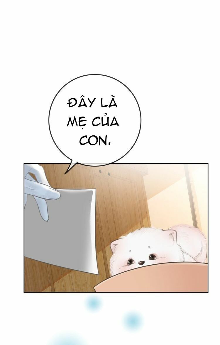 Ám Hắc Hệ Noãn Hôn: Chapter 3