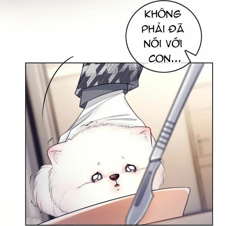 Ám Hắc Hệ Noãn Hôn: Chapter 3