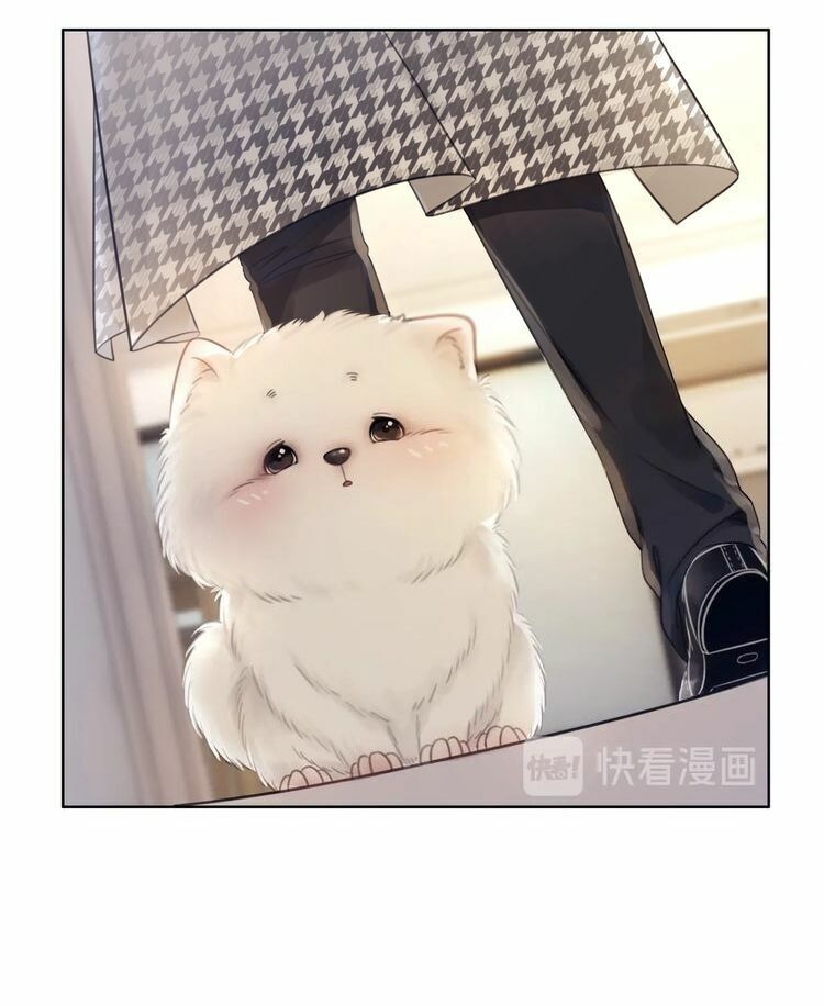 Ám Hắc Hệ Noãn Hôn: Chapter 3