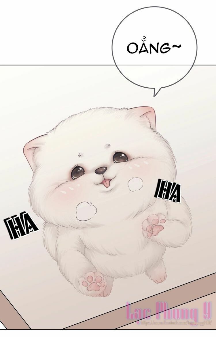 Ám Hắc Hệ Noãn Hôn: Chapter 3