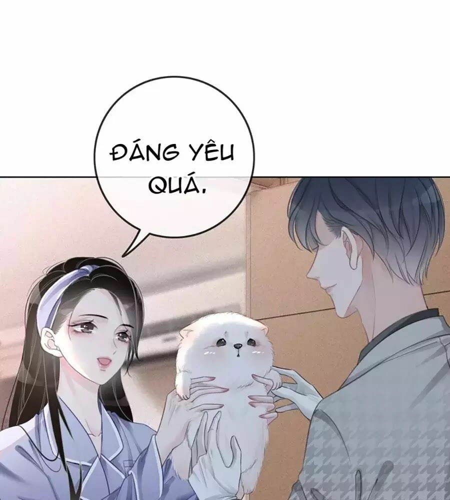 Ám Hắc Hệ Noãn Hôn: Chapter 4